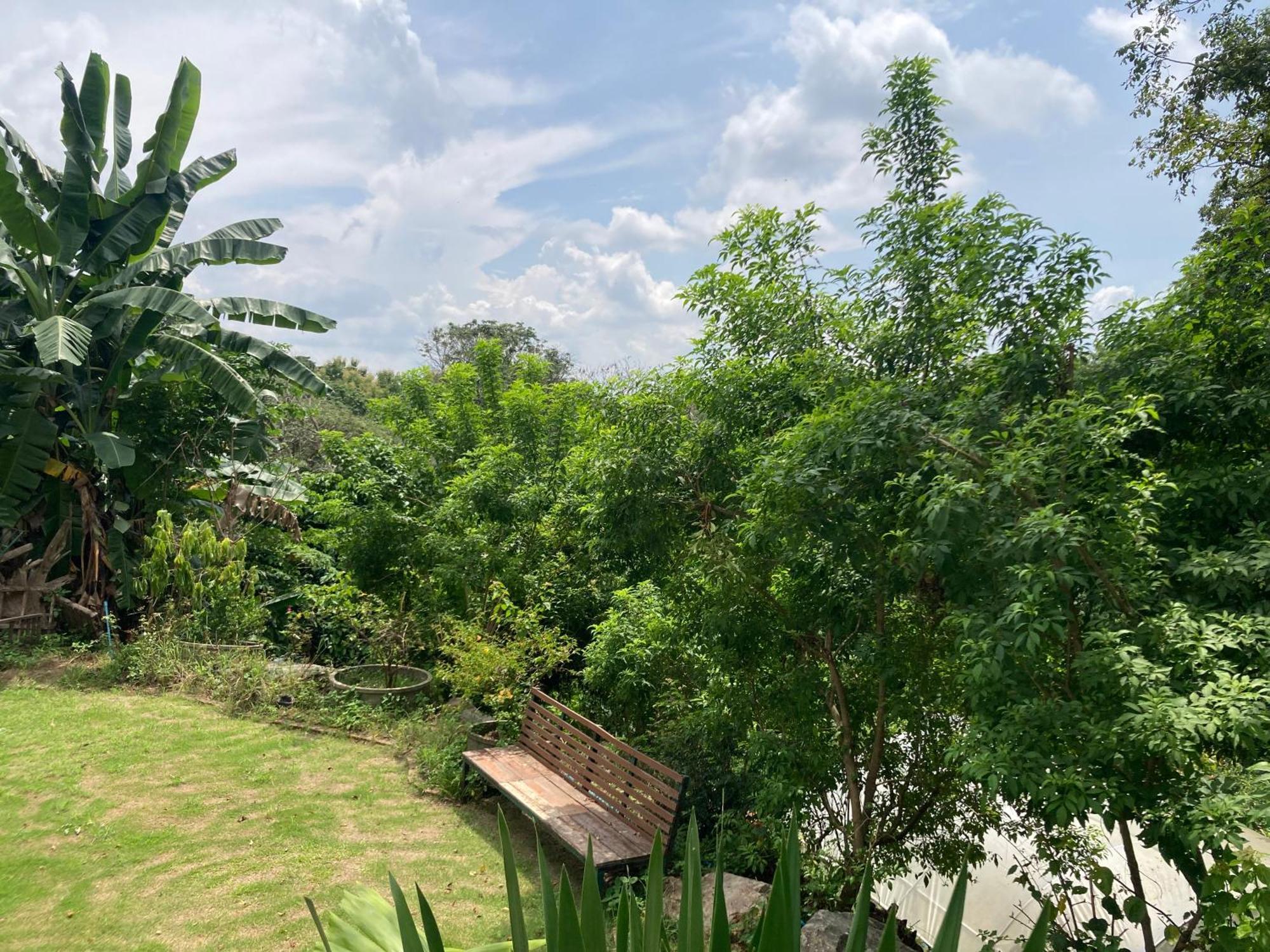 Maesa Greenery Hill Mae Rim Esterno foto