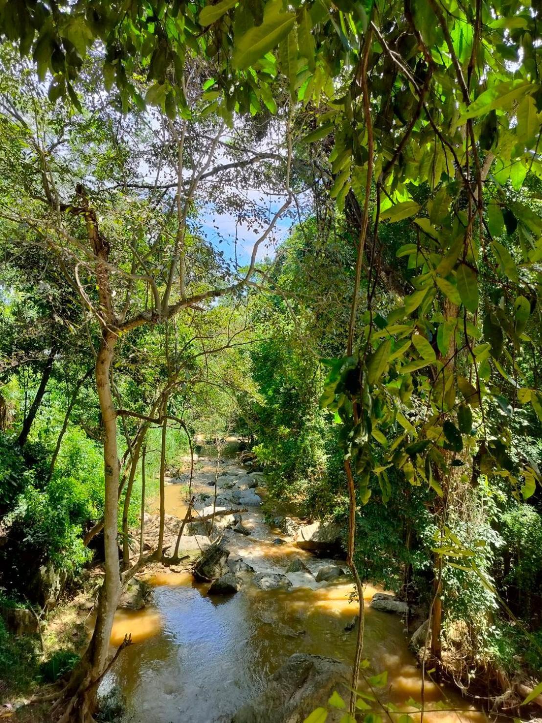 Maesa Greenery Hill Mae Rim Esterno foto
