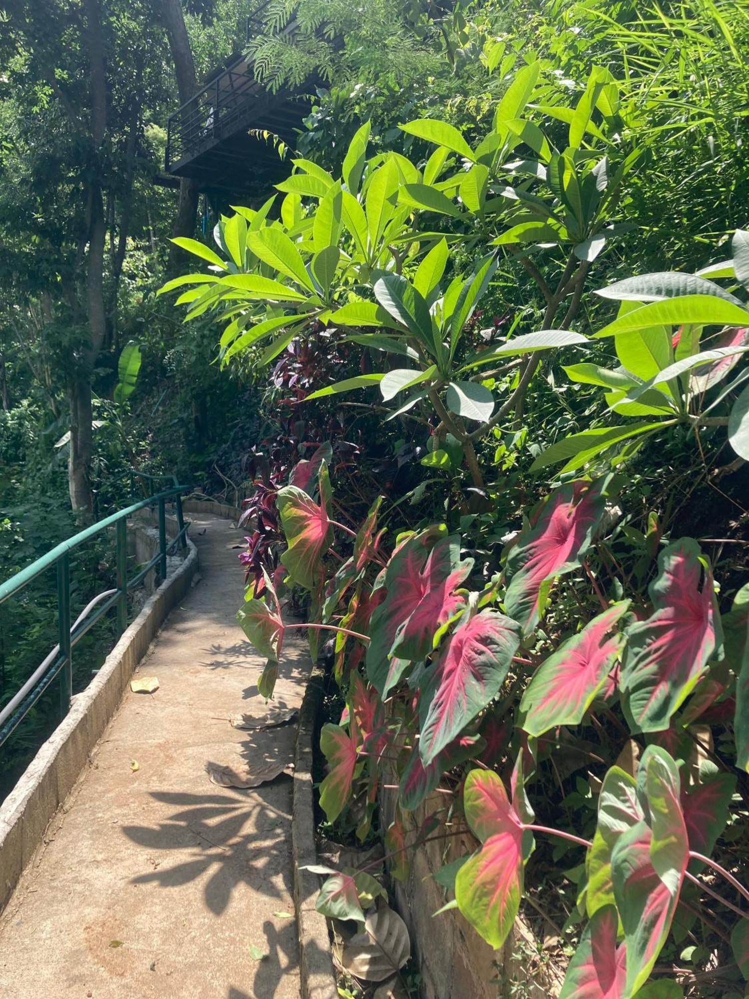 Maesa Greenery Hill Mae Rim Esterno foto